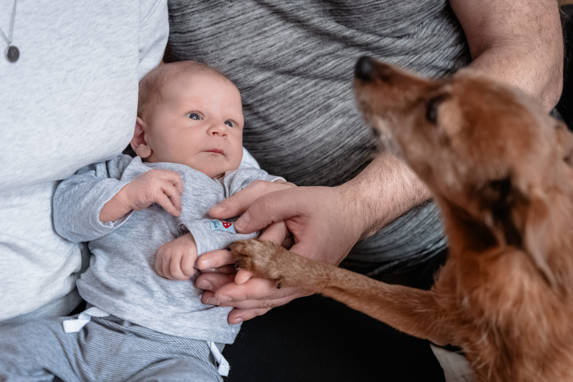 2026_Februar_Jan_Jessi_Levi_♡_cc_melinaweller.de_29