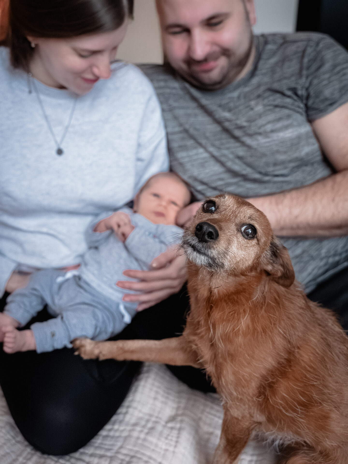 2026_Februar_Jan_Jessi_Levi_♡_cc_melinaweller.de_37