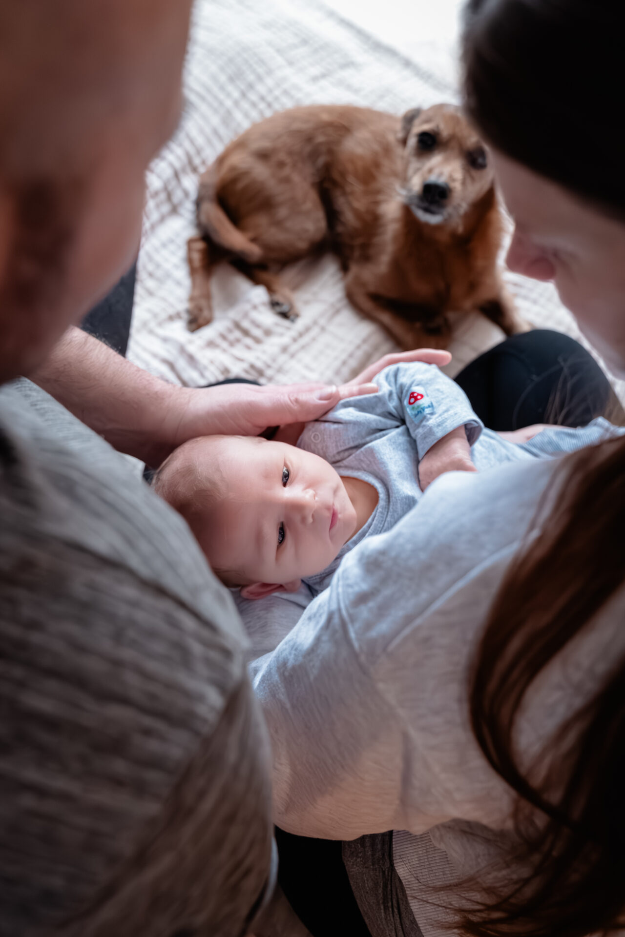 2026_Februar_Jan_Jessi_Levi_♡_cc_melinaweller.de_46