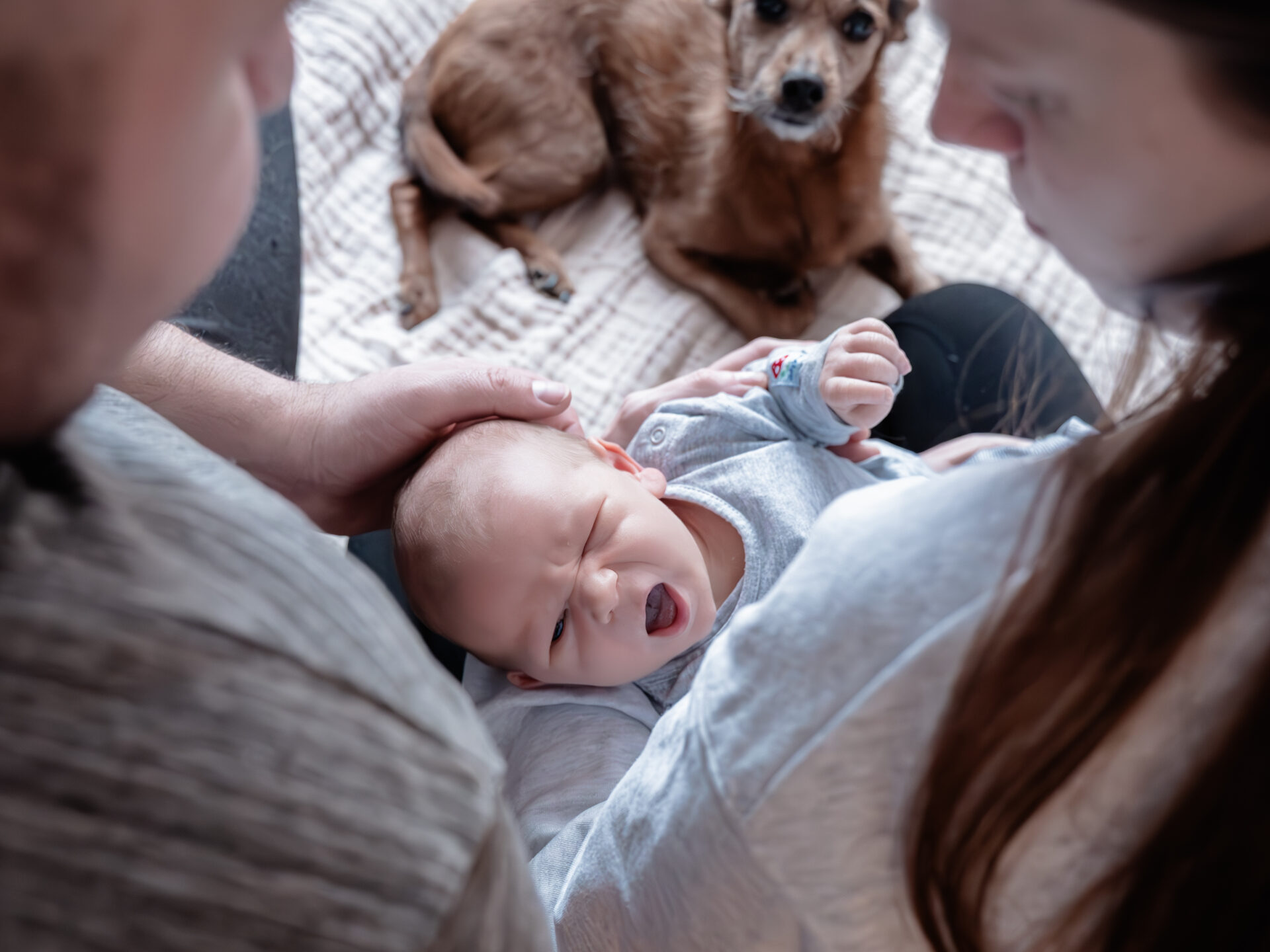 2026_Februar_Jan_Jessi_Levi_♡_cc_melinaweller.de_48