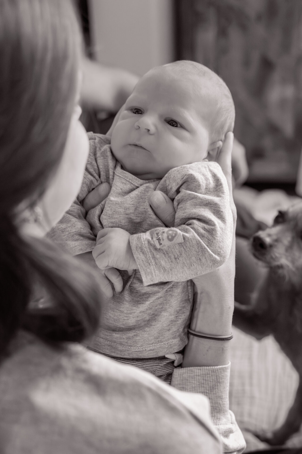 2026_Februar_Jan_Jessi_Levi_♡_cc_melinaweller.de_53