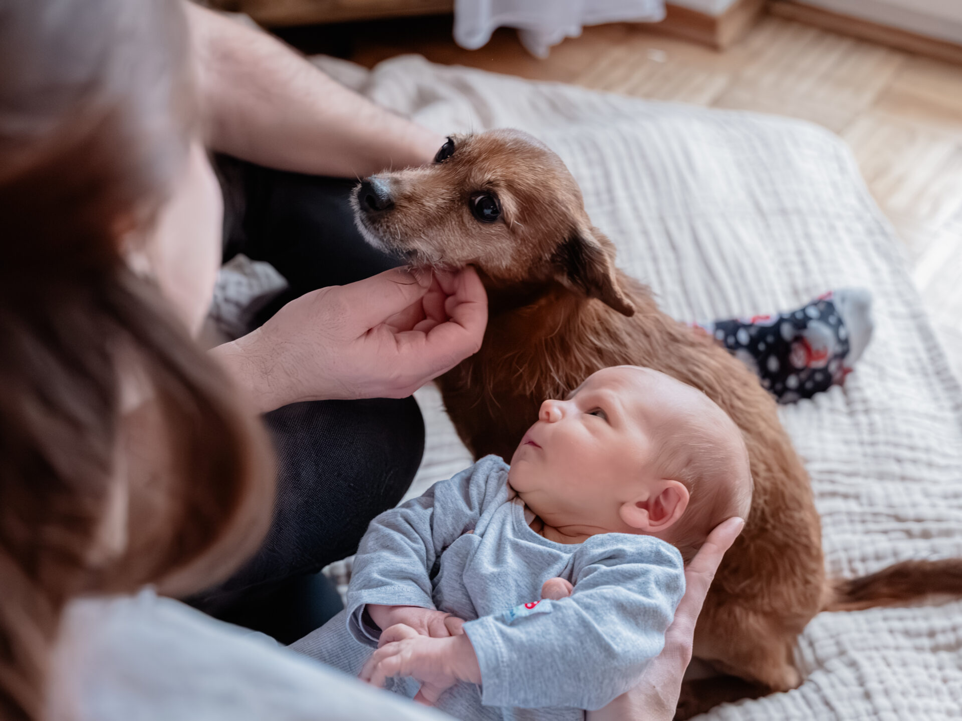 2026_Februar_Jan_Jessi_Levi_♡_cc_melinaweller.de_54