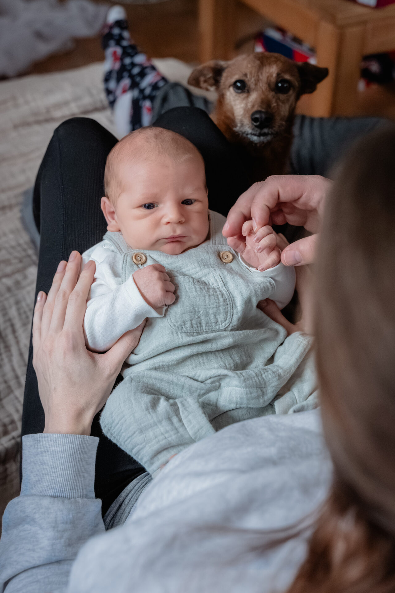 2026_Februar_Jan_Jessi_Levi_♡_cc_melinaweller.de_75