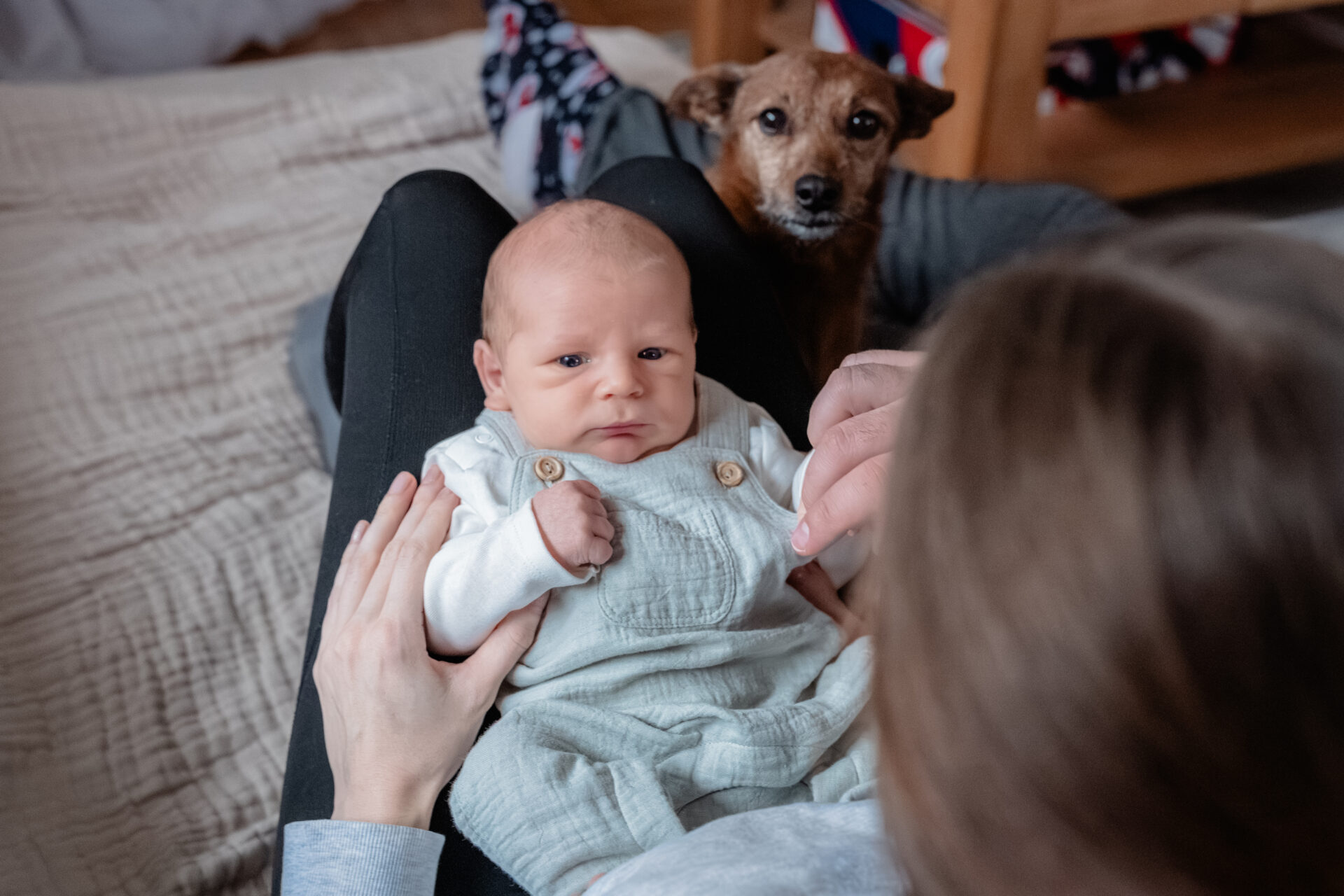 2026_Februar_Jan_Jessi_Levi_♡_cc_melinaweller.de_76