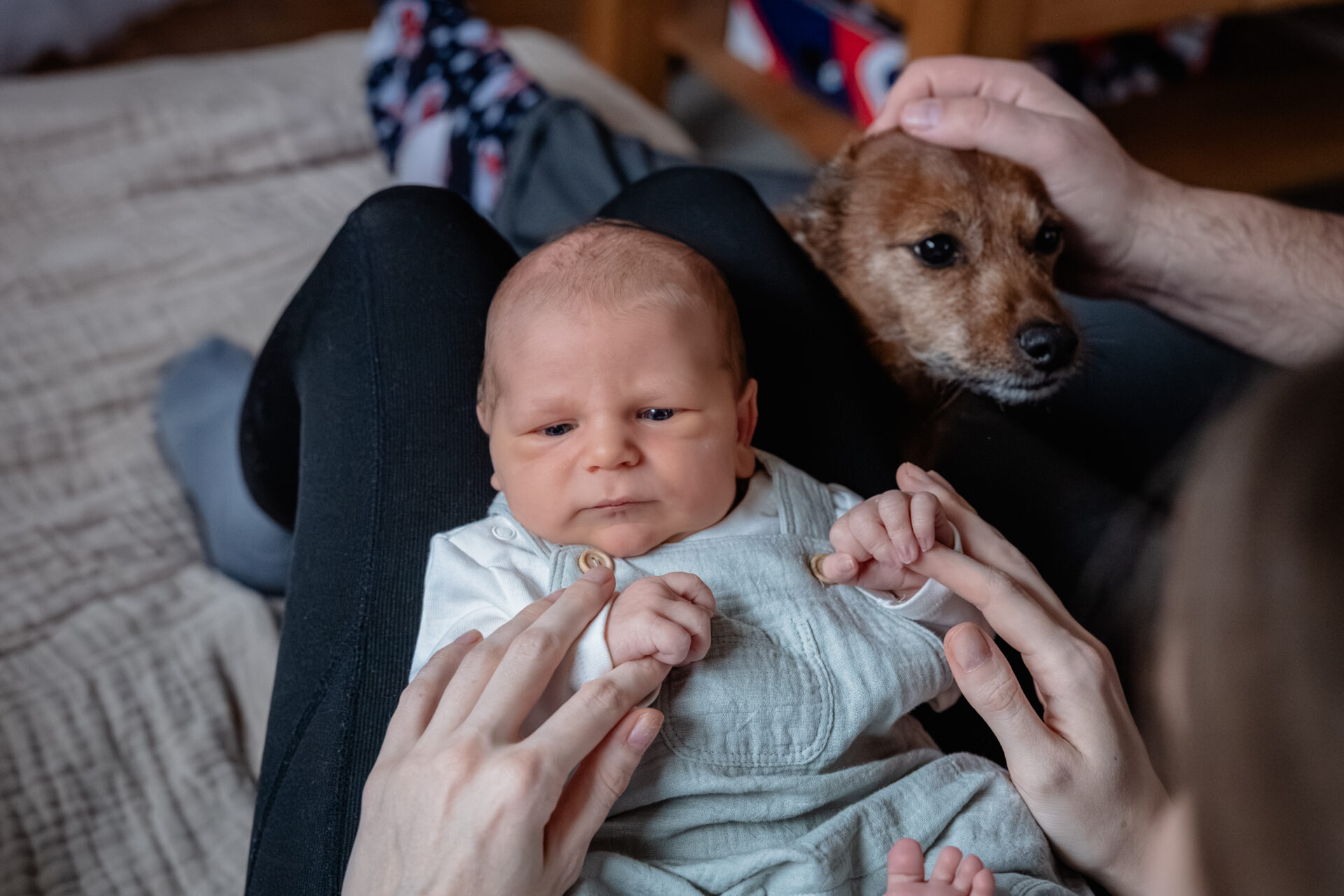 2026_Februar_Jan_Jessi_Levi_♡_cc_melinaweller.de_78